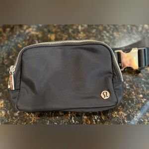 NWT Black with New Gold Hardware Everywhere Belt Bag 1L